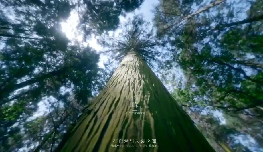 宣传视频